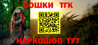 индика Беслан