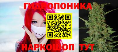 индика Беслан