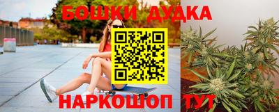 индика Беслан